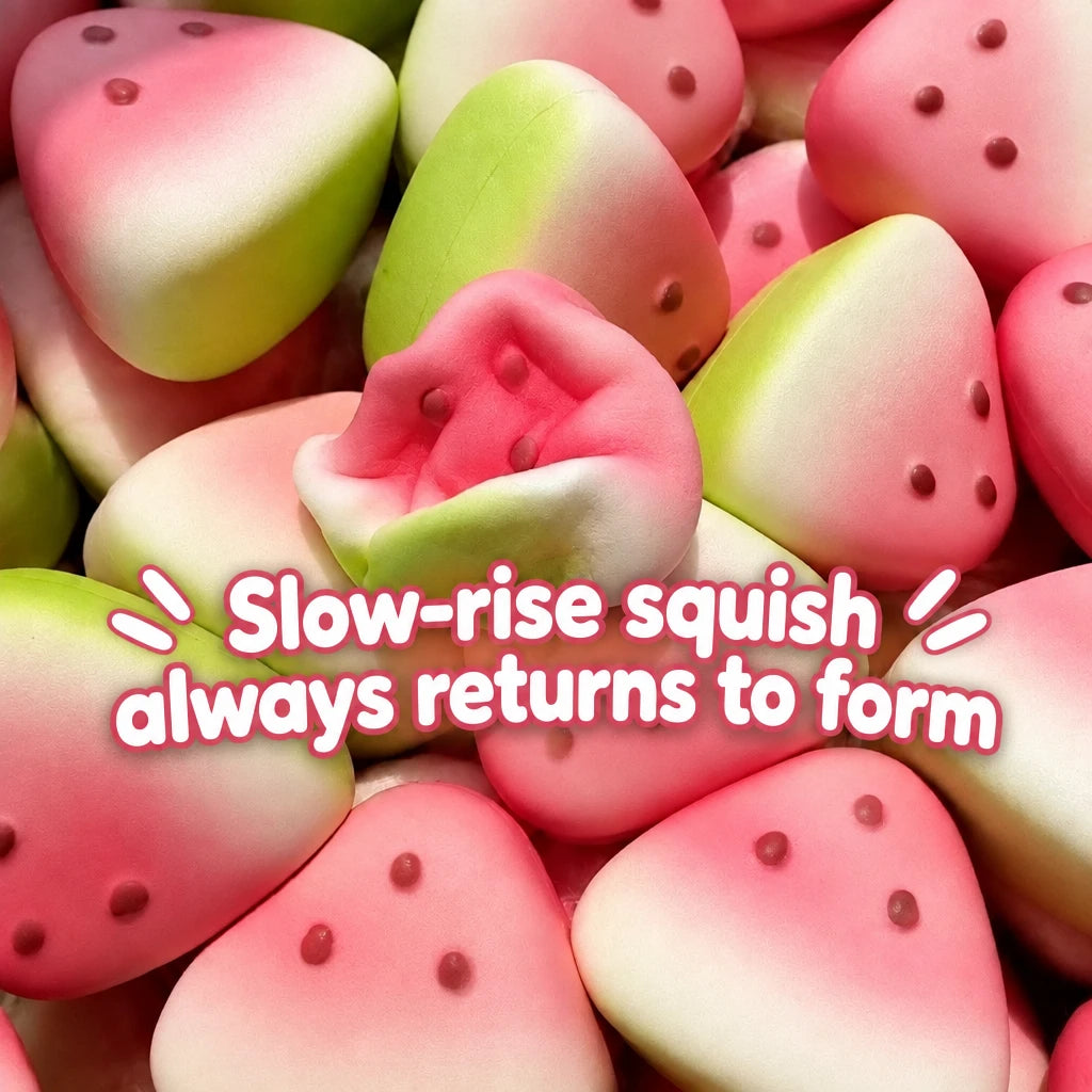 Watermelon Squishy